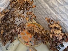 -安德鲁户外烧烤帐篷营地(马泉营店)