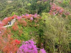 -岳西天峡风景区