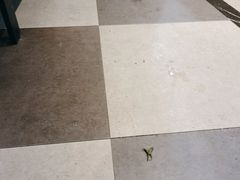 -满香园自助海鲜烤肉(赣榆吾悦广场店)
