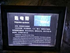 -南昌海洋公园