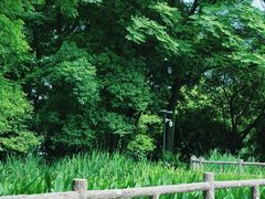 -成都市活水公园