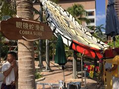 -亚马逊丛林水乐园