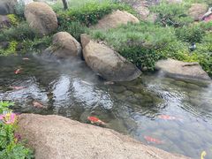 -罗红摄影艺术馆