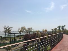 -江滩湿地公园