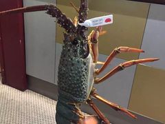 -金唐海鲜酒家