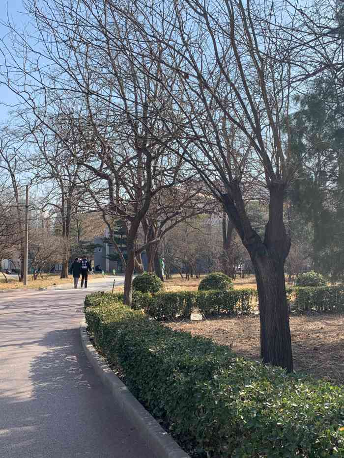 方庄体育公园(游乐场)-"位于方庄环岛的方庄体育公园,现在也要扫.