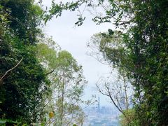 -火炉山森林公园