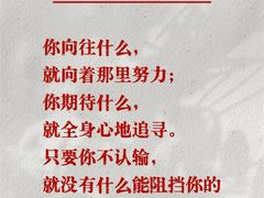 -华祥苑茶馆•国缤茶小蓝罐(普罗旺斯店)