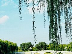 -陶然亭公园