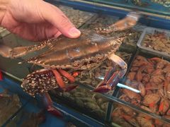 小铜锣湾海鲜家常菜-小铜锣湾海鲜家常菜馆(河西店)