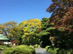 -名古屋城