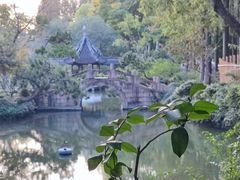 -上海醉白池公园