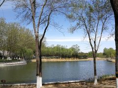 -大兴滨河森林公园