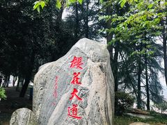 -武汉大学-樱园