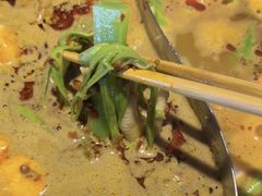 -季季红火锅(动壹店)