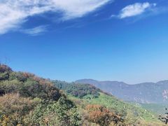 -阳台山自然风景区