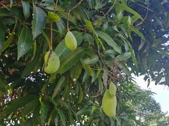 -侯臣咖啡文化村