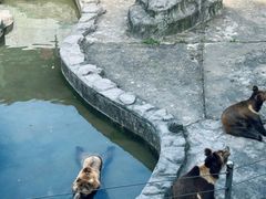 -哈尔滨北方森林动物园