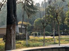 -三江森林温泉度假区