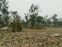 android_upload_pic-海宁鹃湖公园