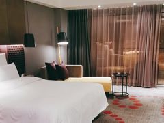 -南京禄口机场雅高铂尔曼大酒店