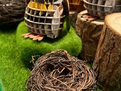 -猫的天空之城概念书店(杭州南宋御街店)