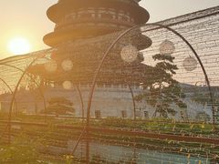 -隋唐洛阳城明堂天堂景区