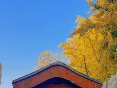 -北京石刻艺术博物馆(五塔寺)