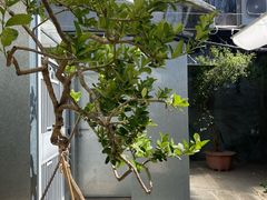 -METAL HANDS铁手咖啡制造局(五道营店)