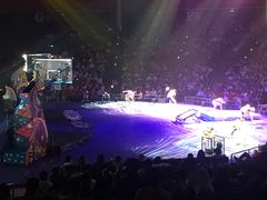 -珠海横琴长隆《卡卡虎奇遇记》