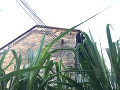 -花好悦园(瀛洲店)