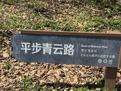 -五女山景区