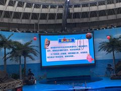 -海合安成都极地海洋公园