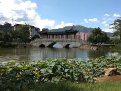 -飞来湖湿地公园