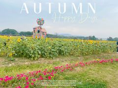 -苏州太湖西山岛开心农场