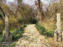 -南京珍珠泉风景区