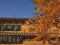 -灵谷景区