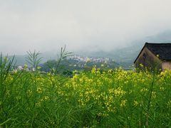 -西溪南古村落景区
