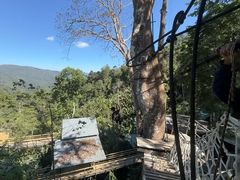 -清迈丛林飞跃 JungleFlight