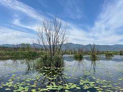 -野鸭湖国家湿地公园