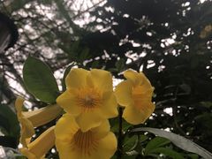 -南山植物园