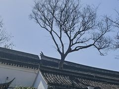 -绮园景区