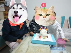 -好利来.生日蛋糕(杨家坪店)