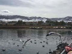 -青海湖国家重点风景名胜区