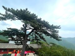 -妙峰山风景名胜区