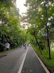 -佛灵湖水上乐园