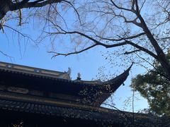-西园戒幢律寺