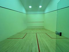 -健身专家Wellness Experts