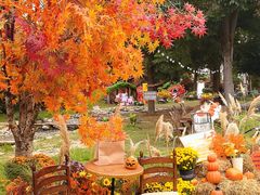 -HERRE·FARM 赫尔露营农场·团建聚会包场