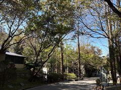 -天龙八部武侠城